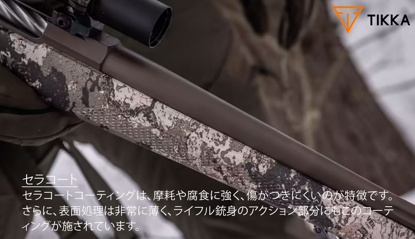 T3x ライトベール ワイドランド